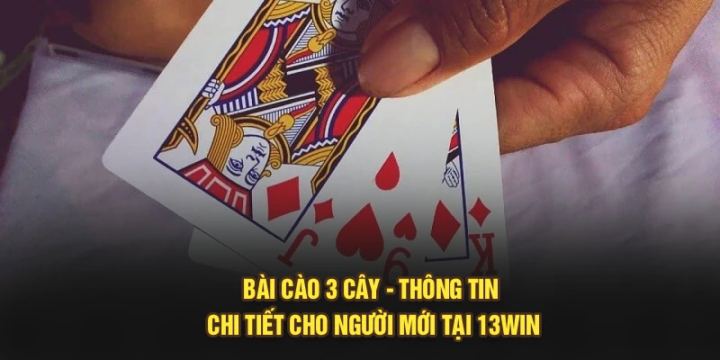 Bài Cào 3 Cây – Hướng Dẫn Chi Tiết Dành Cho Người Mới Tại 13Win