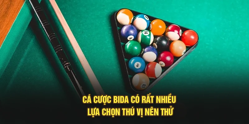 Cá cược bida có rất nhiều lựa chọn thú vị nên thử