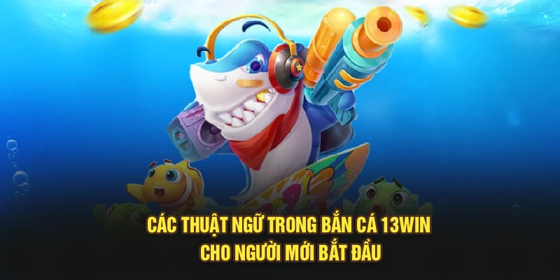 Các Thuật Ngữ Trong Bắn Cá 13Win Cho Người Mới Bắt Đầu