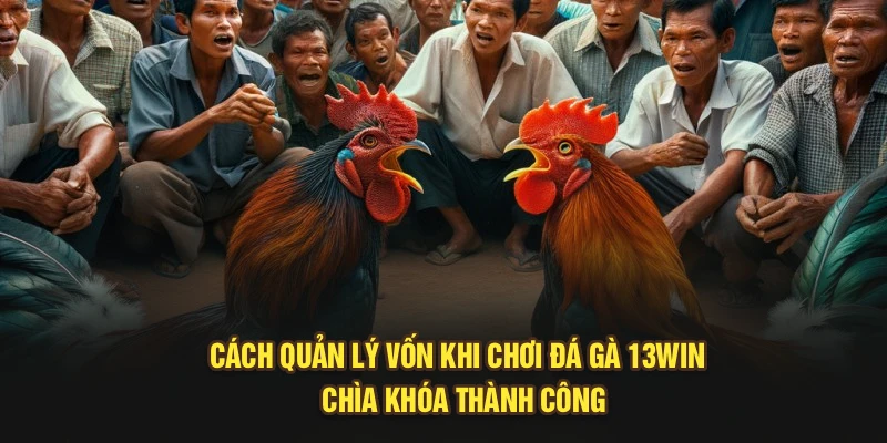 Cách Quản Lý Vốn Khi Chơi Đá Gà 13Win - Chìa Khóa Thành Công
