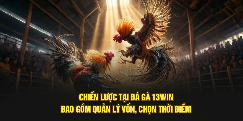 Chiến lược tại đá gà 13Win bao gồm quản lý vốn, chọn thời điểm