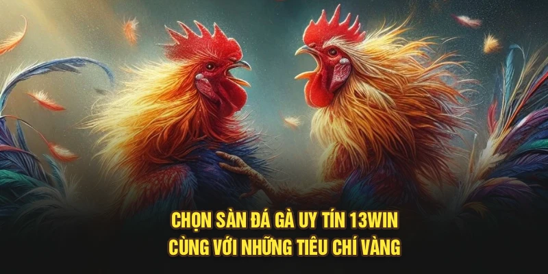Chọn Sàn Đá Gà Uy Tín 13Win Cùng Với Những Tiêu Chí Vàng