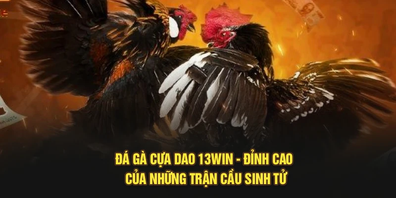 Đá Gà Cựa Dao 13Win - Đỉnh Cao Của Những Trận Cầu Sinh Tử