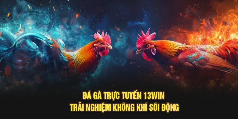 Đá Gà Trực Tuyến 13Win - Trải Nghiệm Không Khí Sôi Động