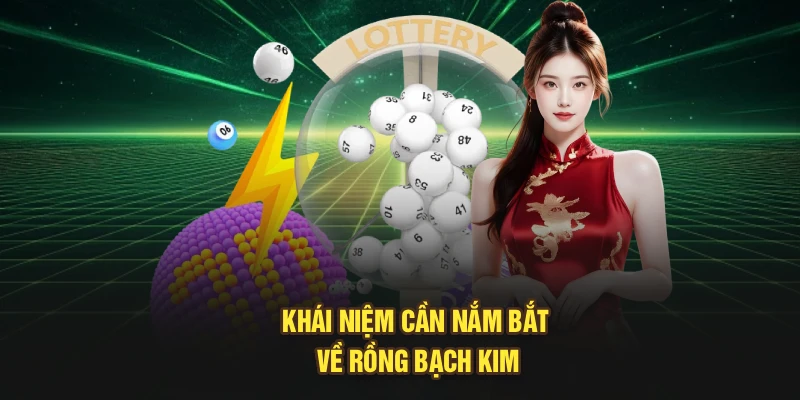 Khái niệm cần nắm bắt về rồng bạch kim