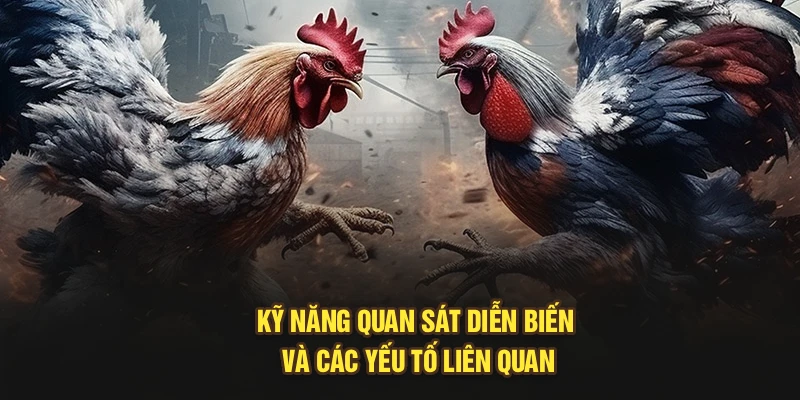 Kỹ năng quan sát diễn biến và các yếu tố liên quan