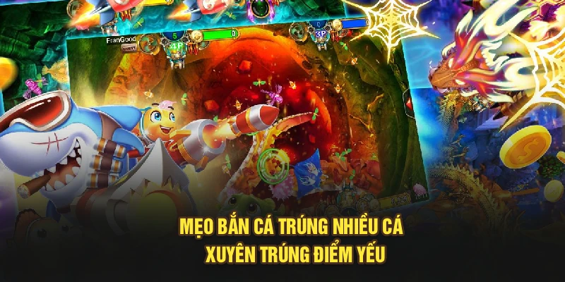 Mẹo bắn cá trúng nhiều cá - Xuyên trúng điểm yếu