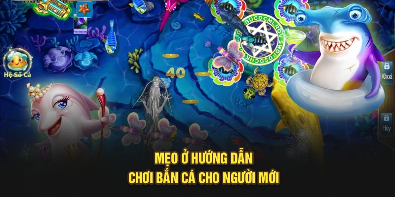 Mẹo ở hướng dẫn chơi bắn cá cho người mới
