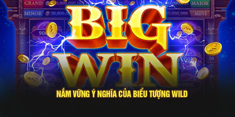 Nắm vững ý nghĩa của biểu tượng wild