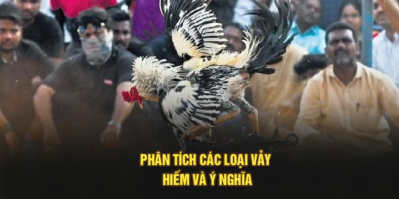 Phân tích các loại vảy hiếm và ý nghĩa