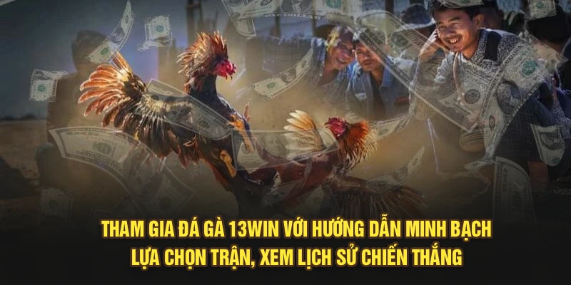 Tham gia đá gà 13Win với hướng dẫn minh bạch, lựa chọn trận, xem lịch sử chiến thắng