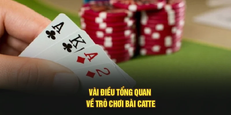 Vài điều tổng quan về trò chơi bài catte