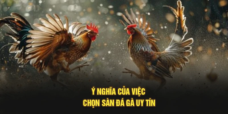 Ý nghĩa của việc chọn sàn đá gà uy tín